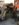 4CB822D4-BC5B-4AE5-B86F-48D5AB082337.jpeg