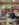 FE825C6A-AA85-4C3A-95A6-FDE09A996A8B.jpeg