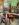 519ED31D-A10B-46DD-9258-514DAA2171EE.jpeg