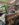 F8F0021C-01EF-4544-AC0D-CF62BA9D15B7.jpeg