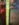 A129614C-9E77-47F9-9B16-91BAA6CE1064.jpeg