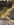1B1080F6-E999-4502-AC4B-CC69440CEBA3.png