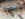 957D3AD0-A8E0-40D8-9FDE-5ACD1119A0B7.jpeg 957D3AD0-A8E0-40D8-9FDE-5ACD1119A0B7.jpeg