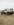 516890CC-E618-4D44-B1C8-FABCFEA7B5A3.png