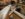 FAEA46C7-794D-464C-9418-DE3C36FA1720.jpeg