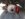 HARLEY TRUCK BRAKES.jpg