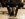 2E1E5BA9-162B-498C-BAF3-9198039531FB.jpeg