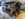 151FAFF6-061D-466C-85B3-796BB13B332D.jpeg