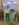 AB11A418-B9C0-4DD6-BD9C-DAF54B196CB5.jpeg