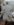 IMG_20190323_111143926[1].jpg