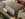 02853186-ABBF-4A40-95E9-8DB101AC3BA1.jpeg 02853186-ABBF-4A40-95E9-8DB101AC3BA1.jpeg