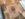 9CDFA37E-3494-49CB-AD54-9C43C032B430.jpeg