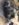 B6230C1D-46E7-44F1-82EE-D618493F6F9C.jpeg