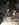 F4489145-3B7F-4ADB-ADC3-3FC5967E616A.jpeg
