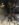 58332541-E018-4897-9104-192EFBEF5350.jpeg