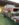 FDC3749F-58B3-4BB9-AFC6-CFB1BCFC4950.jpeg