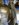 71F0C7BE-A28A-4B5D-86D4-6BDAB400FD7B.jpeg