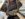 184A9699-38FC-4B8A-AD0D-0EEE04178567.jpeg