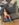 0F9838C4-433F-4E91-91CC-D1E661747EC8.jpeg