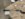 962A1F94-83A8-4B35-9D2C-12225038CBDF.jpeg