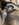 72BAB36C-8D74-4657-8F66-77F0CC5D773D.jpeg