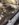 8D04397E-FEA4-487E-8416-1A15DA944FBE.jpeg