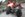 ED75D2B0-B721-4939-B161-82AE0D7D05B6.jpeg
