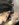 F7B4CE30-6344-4FA7-9087-135C5C6ECAAA.jpeg