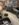 8DE33A60-204E-45AE-AD0E-D94126D213AF.jpeg