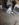 5826F9C0-677D-4249-AC2F-17AD807FD28C.jpeg