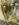 0A3F0138-7C6A-4C70-8068-5B5CD80DEE38.jpeg