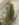 B4BC96A6-4279-4F88-A45A-AA5100588142.jpeg