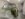 0D5D9E4A-9145-487A-9AB2-CBF5769E73C9.jpeg