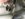 7001FEBE-FCF0-46FD-95D9-42C0D27B807F.jpeg