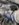 7AB3ED45-B2CD-4D0E-ADED-B7A0C51FF178.jpeg