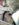 EC3CC946-3479-4E9C-B2E7-CAC7D34394B0.jpeg