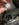 80F990B9-1269-4FE0-B9F8-55AE520C4410.jpeg