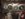 FCE2EFE4-DD58-4B38-A0CF-A220993F4D88.jpeg