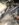 8856A8BC-E1EC-495F-9D7E-388EE82C0344.jpeg
