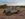 20190415_070144.jpg