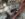 upload_2019-4-17_20-47-51.jpeg