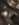 BEE2ABCF-0B90-481F-A509-BFE6DCEA575A.jpeg