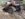 9B41DE23-39B9-4642-A0AD-653C0CD921DF.jpeg