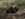 4F6A8F01-DEB8-4C69-828E-B2A1F68F3677.jpeg