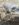 BE9EA92D-0E4A-4592-B642-EC172A665D91.jpeg