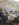 8DB670CE-8C4B-4488-A88B-6AD3B159C7FD.jpeg