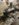 5A570B6B-9FBA-40CE-AFD6-45E19600F19F.jpeg