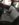 DB3E15E3-AE92-4479-B93B-78FCC9B39721.jpeg