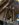 DE28055A-7BA1-42BF-8BF7-A28BFB762874.jpeg