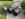 92954D7E-78BC-47DF-8610-64101885AD7A.jpeg